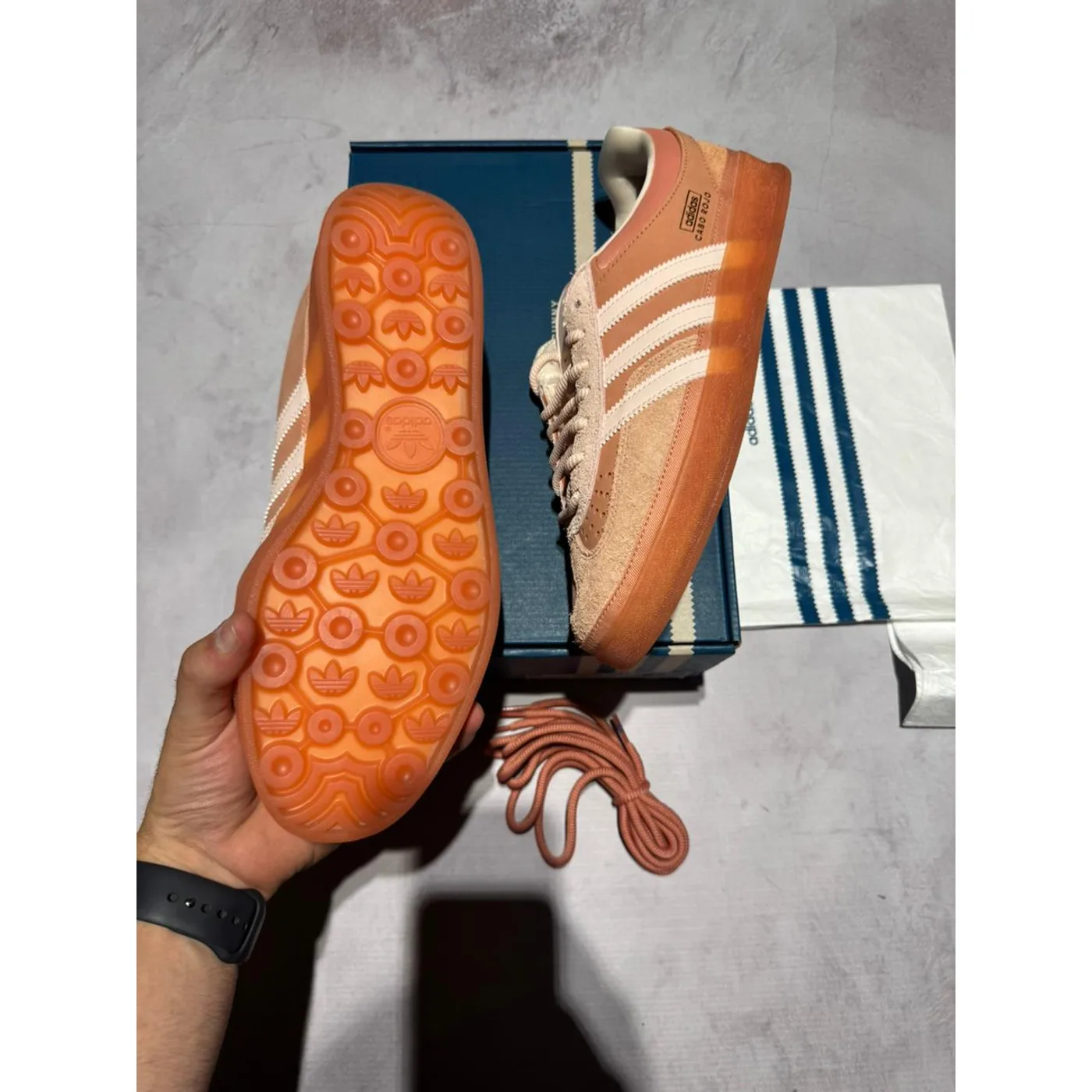 Imagen 5